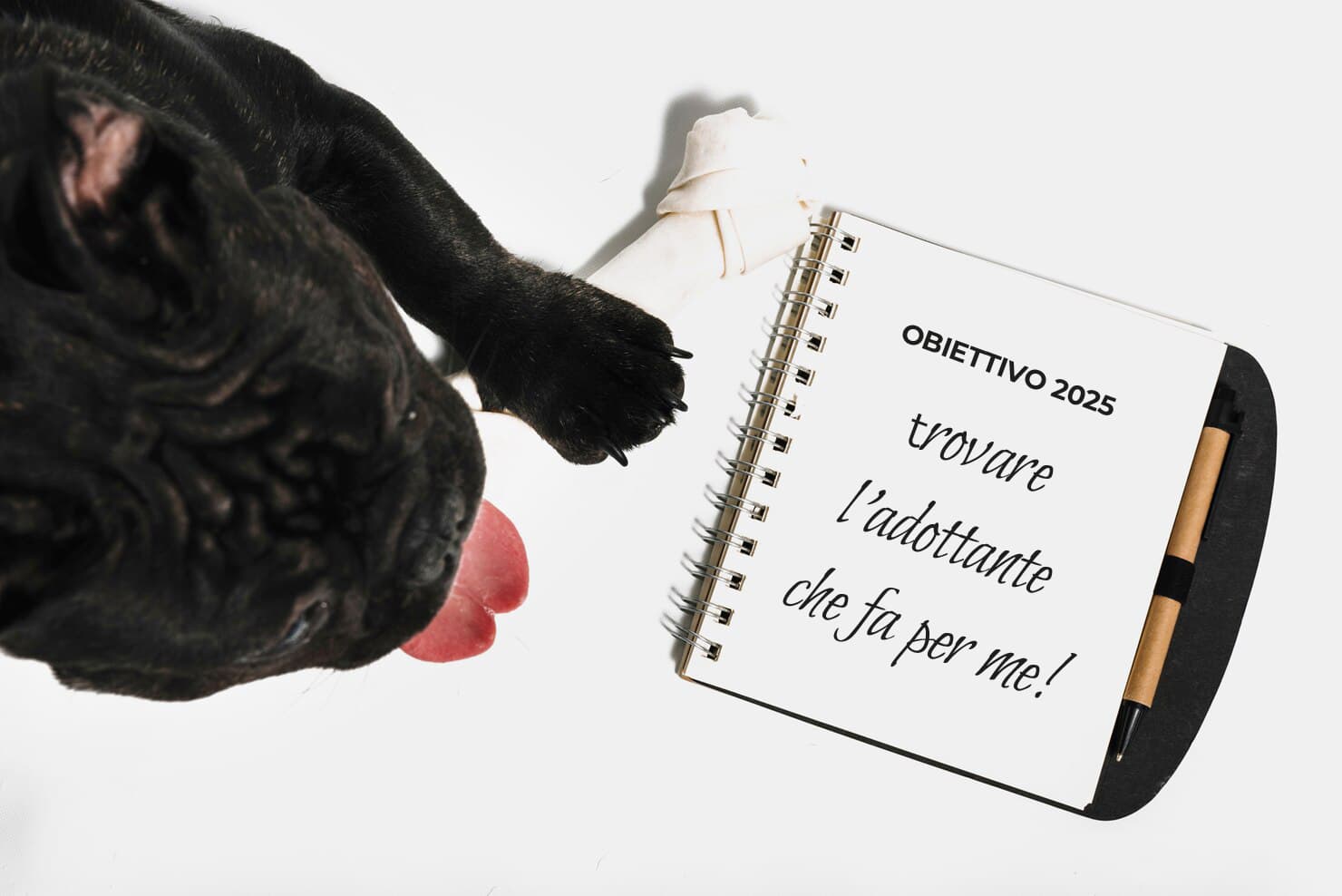 Dog with notebook showing Obiettivo 2025